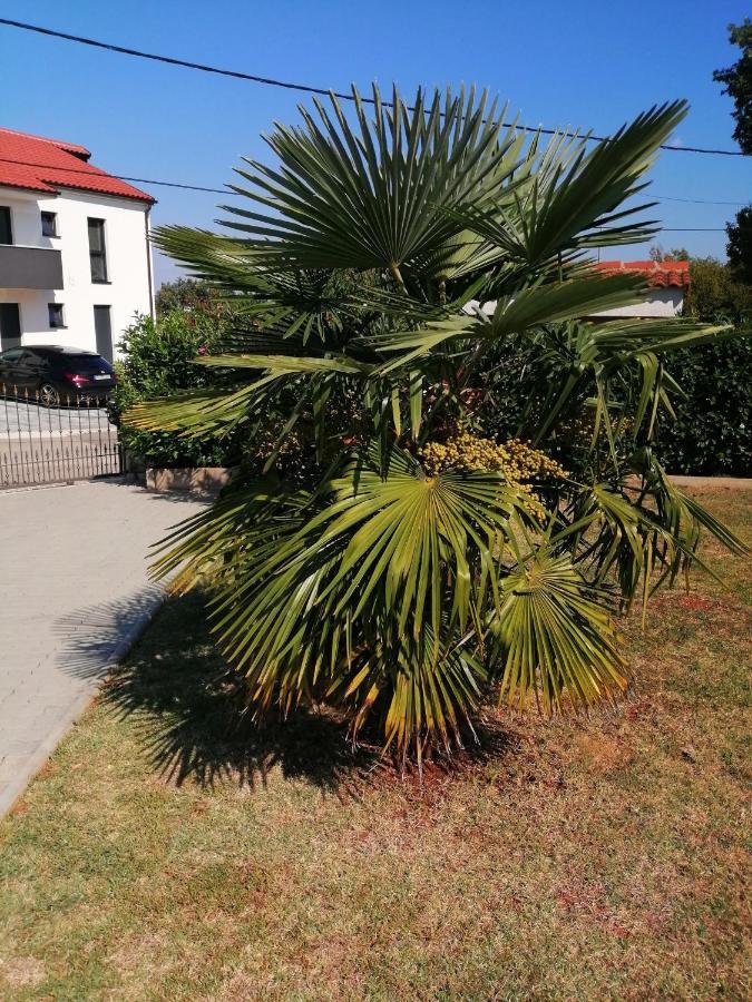 Apartment Jadranka Sveti Anton  Exterior foto